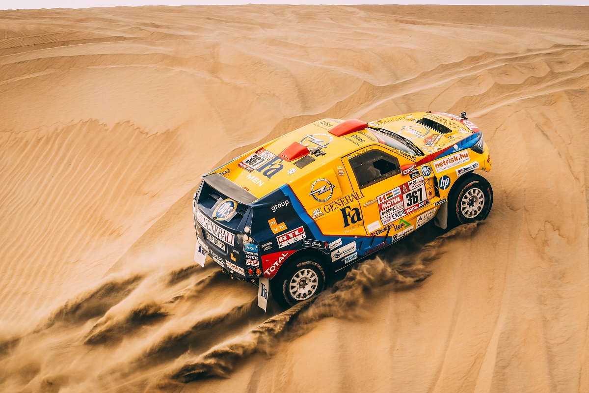 Négylevelű lóhere és szerencsefaktor a sivatagban