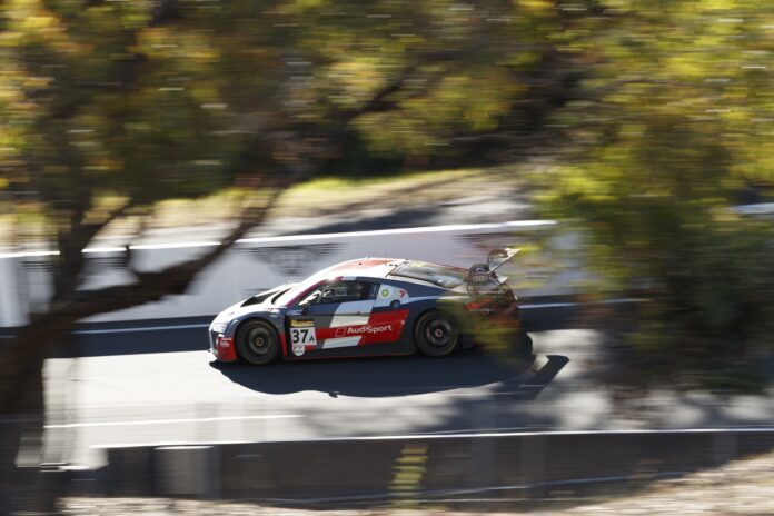 Bathurst 12 órás, Robin rijns