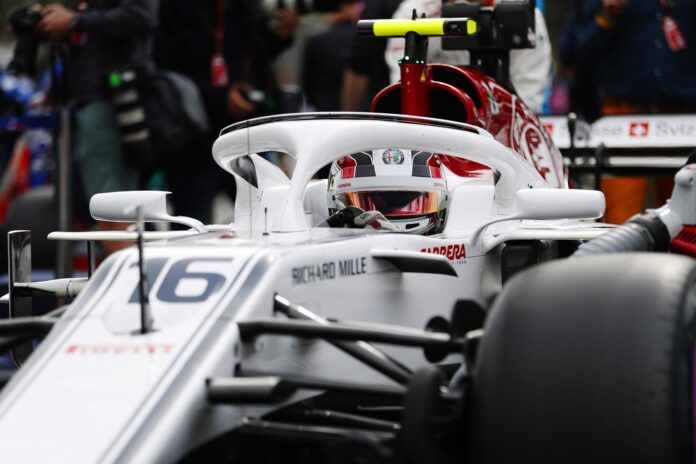 Charles Leclerc halo