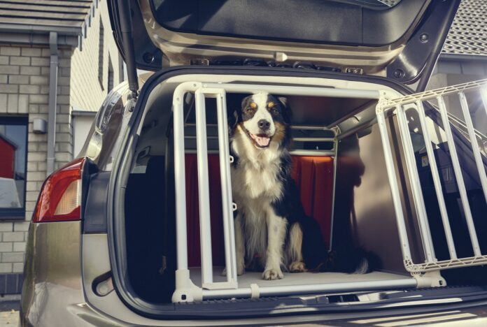 Ford dogbox