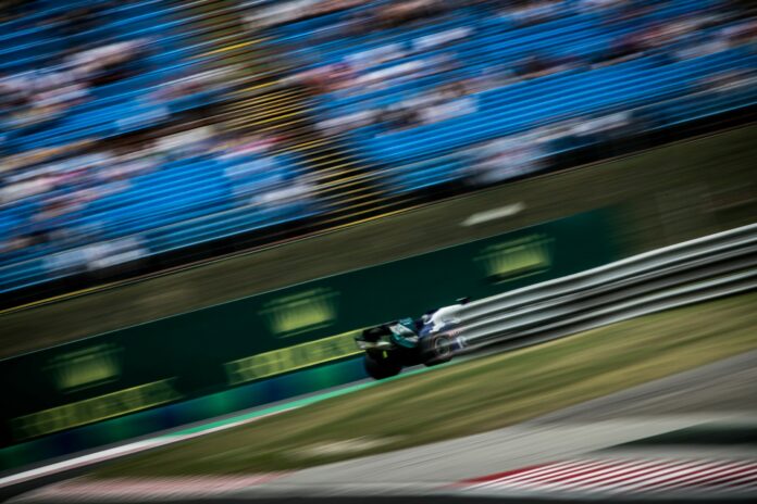 Toro Rosso, puzzle