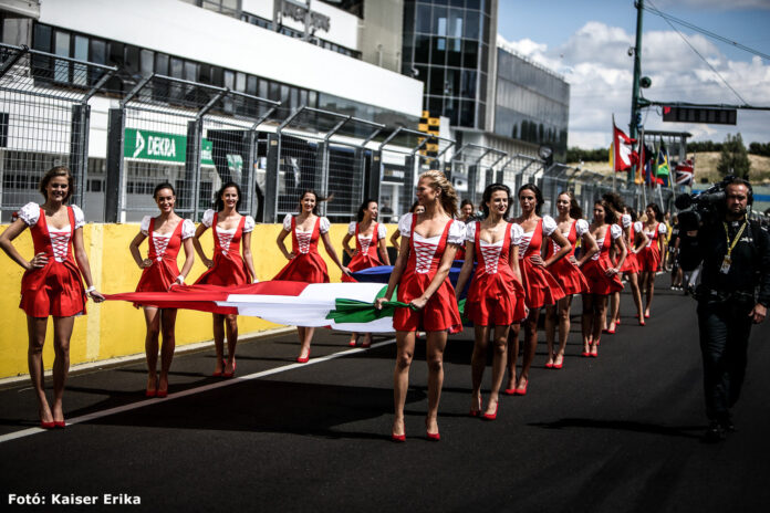 Grid girl, puzzle