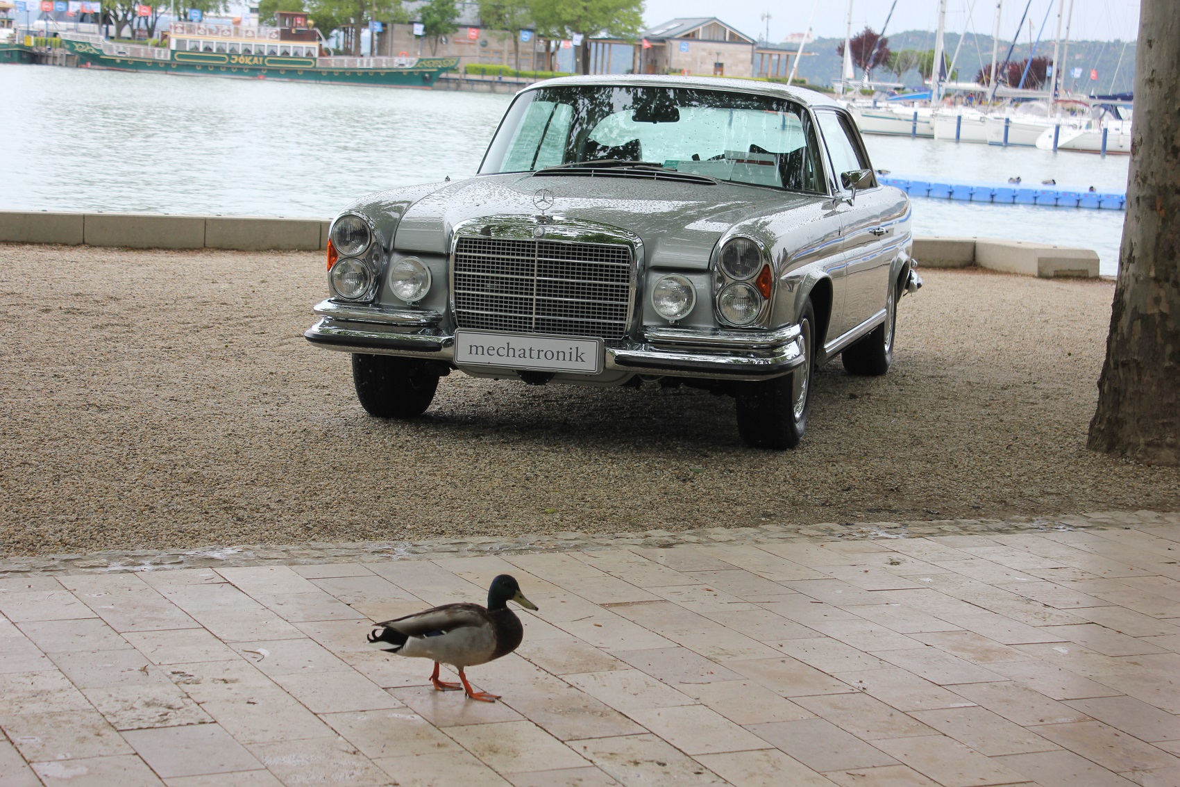 Napi puzzle: Balatonfüred Concours d’Elegance