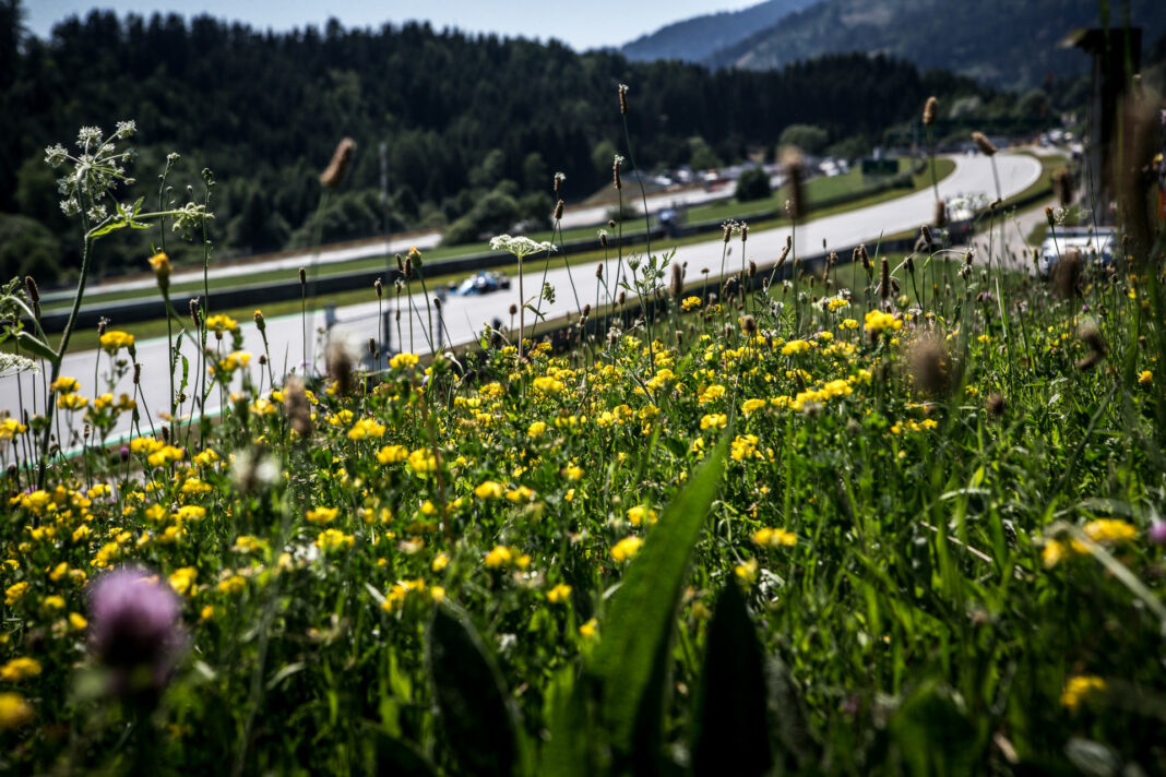 F1, Red Bull Ring, puzzle, v