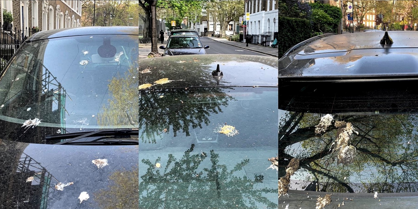 Hogyan védi meg a mesterséges madárpiszok a Ford-ok fényezését a mindennapokban?