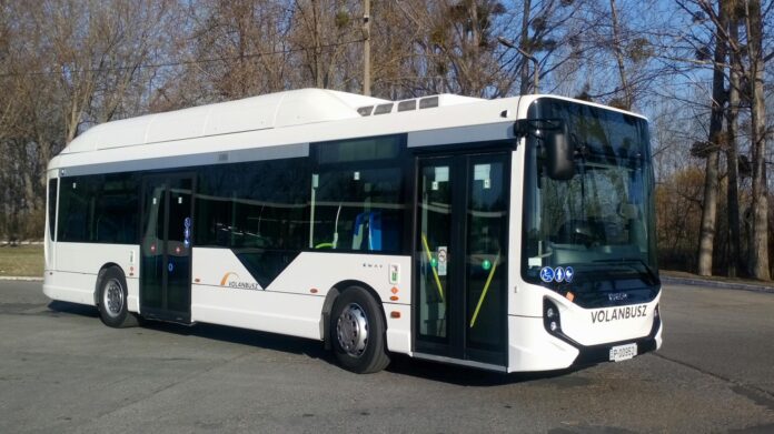 HUMDA, Zöld Busz