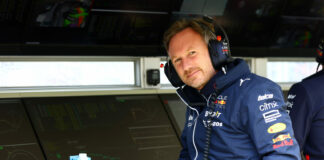 Christian Horner, Red Bull