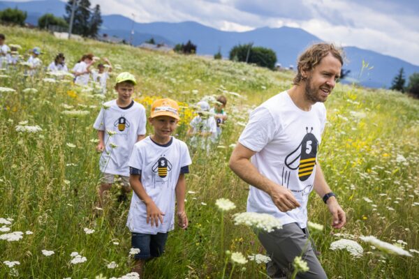 Biobienenapfel, méhlegelő, Sebastian Vettel