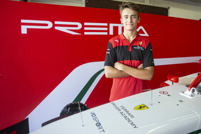 Dino Beganovic, Prema