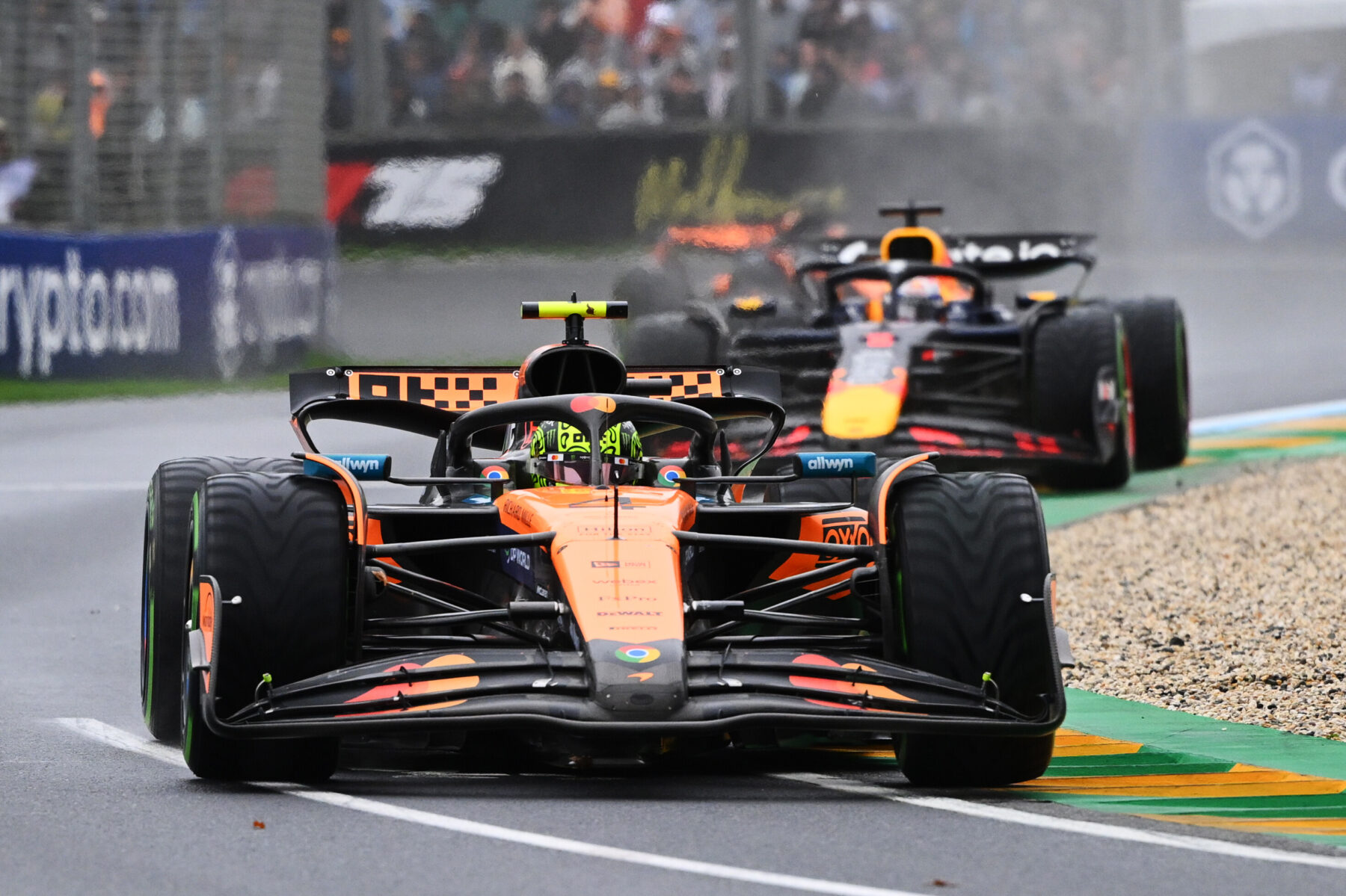 Lando Norris, McLaren, Max Verstappen, Red Bull