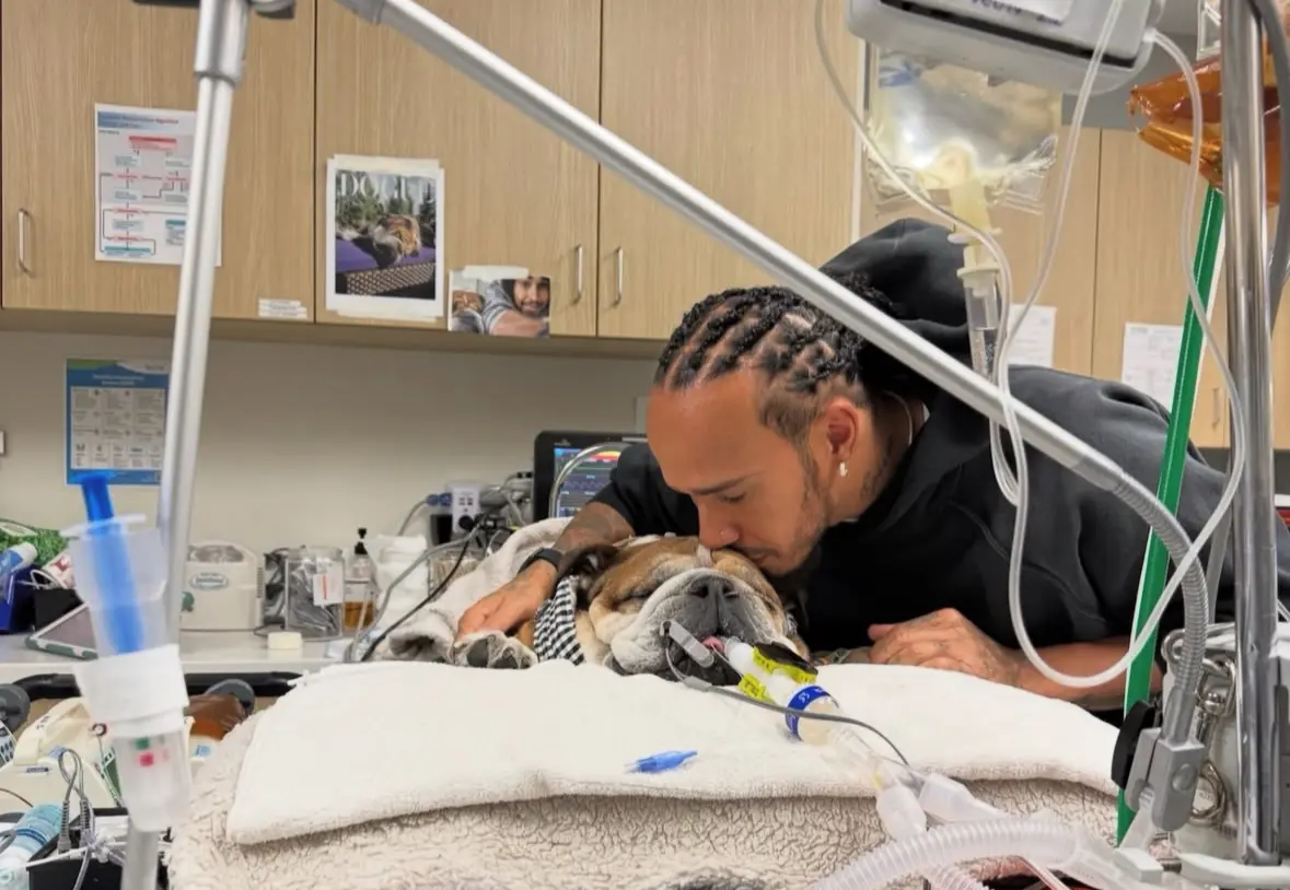 Már csak az ima segíthet Hamilton kutyáján?