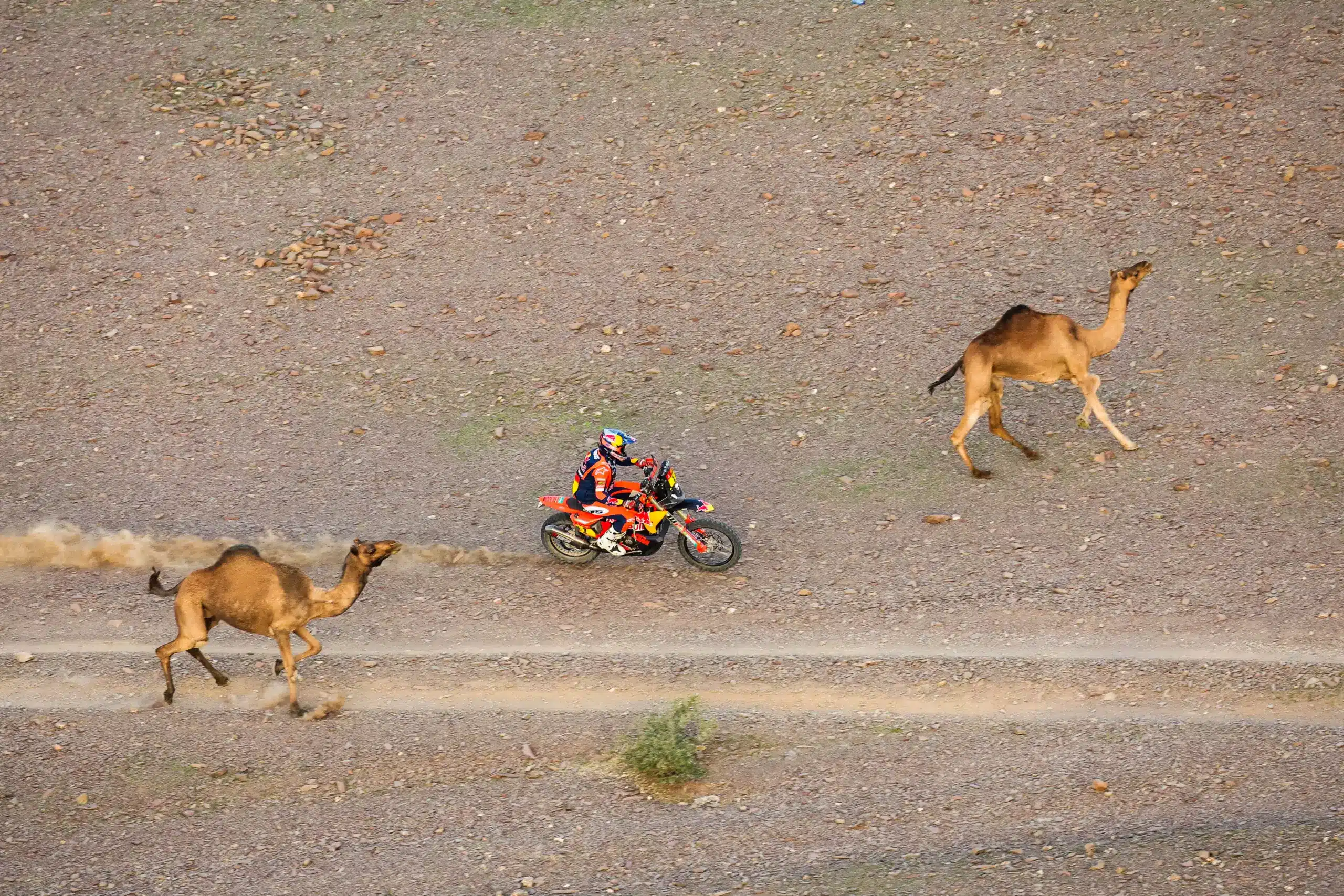 Sanders vette át ismét a vezetést a Dakar ötödik szakasza után, Gyenes is célban