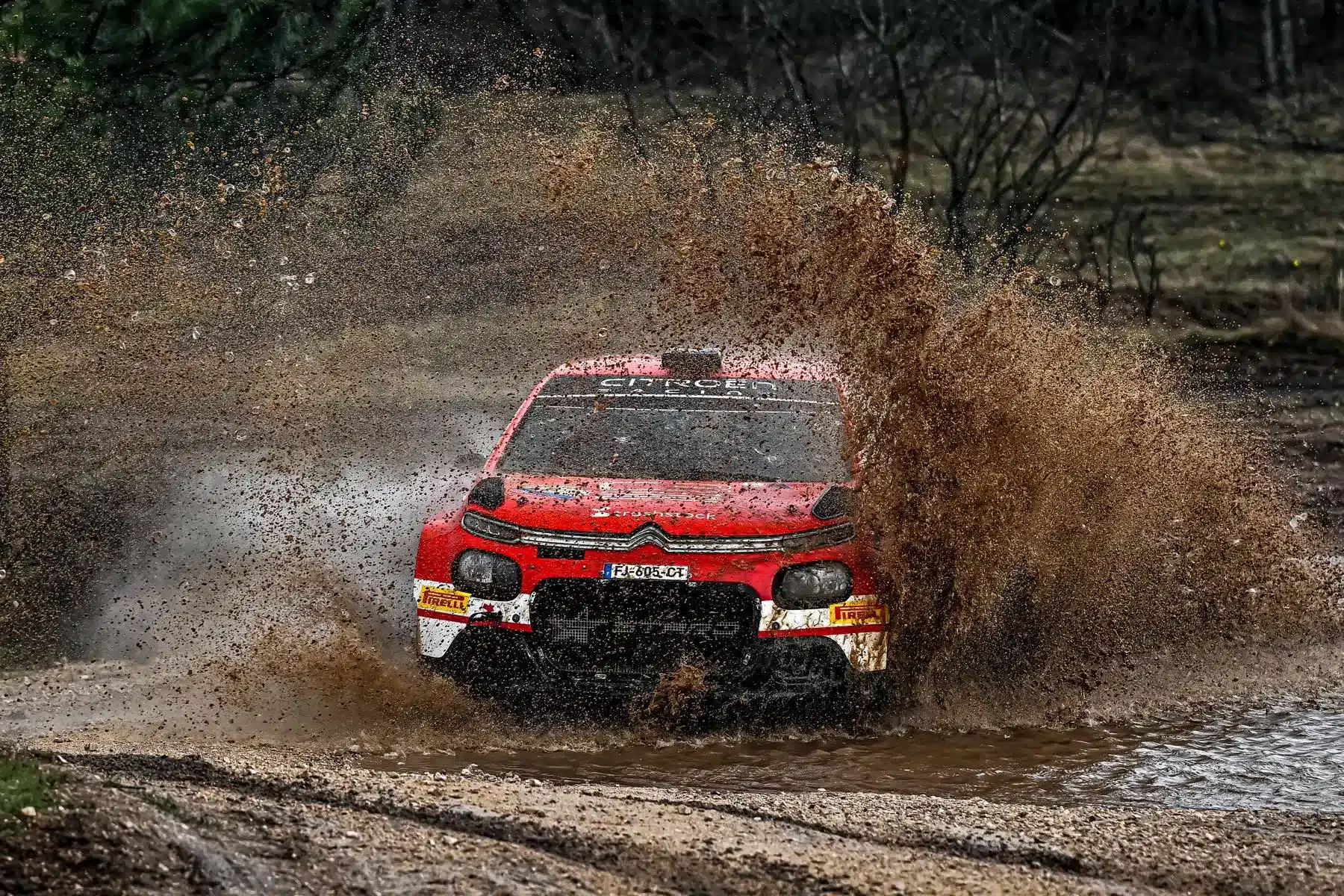 Szafari Rallyt csinált a Veszprém Rallyból Deborah