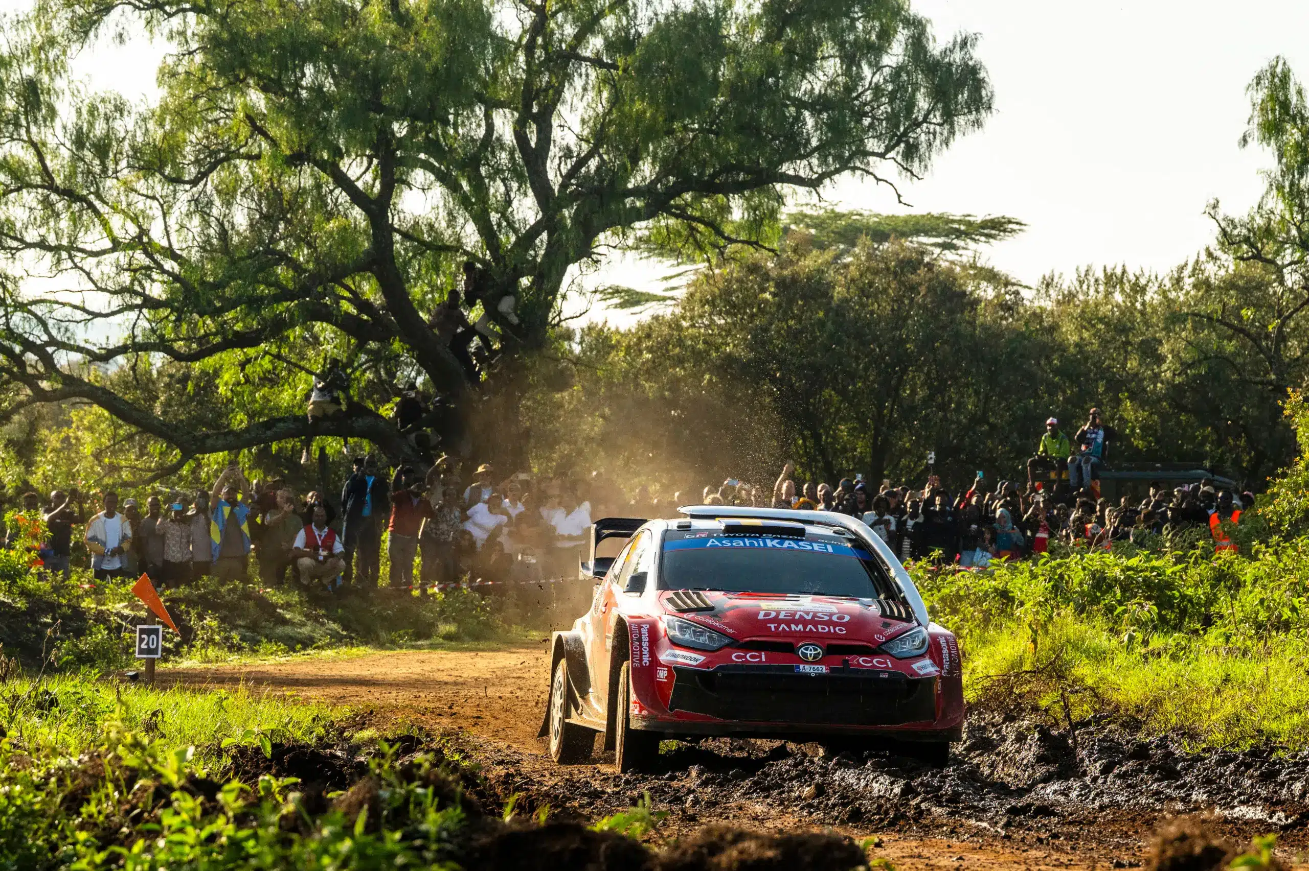 Oliver Solberg szoros csatában vezet a Szafari Rally drámai pénteki napja után