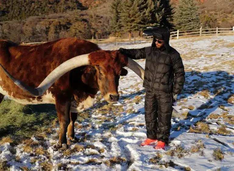 Hamilton megtalálta az új Roscoe-t: „Ő itt Max, a tehenem”